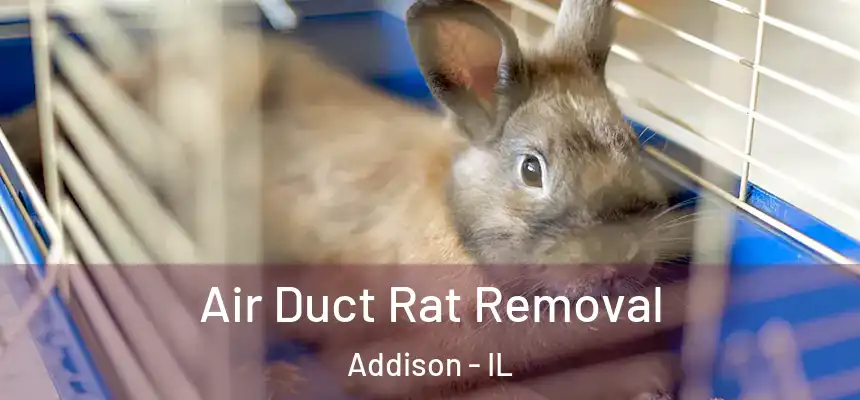 Air Duct Rat Removal Addison - IL