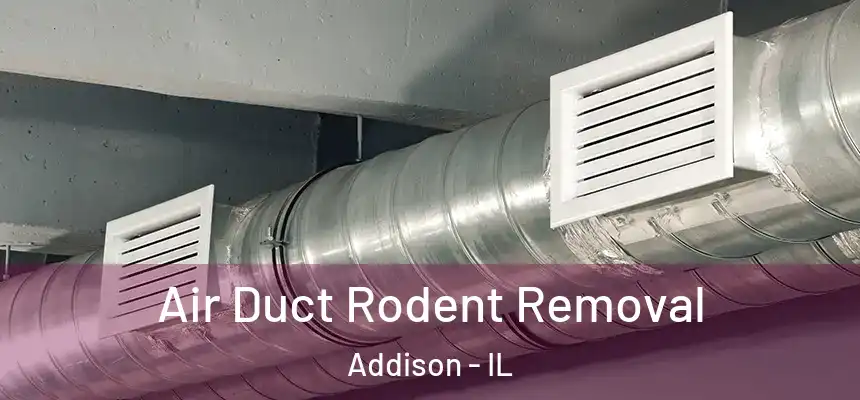  Air Duct Rodent Removal Addison - IL