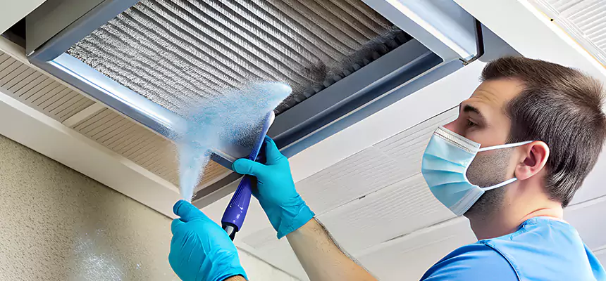 Proactive Dryer Vent & Auxiliary Duct Pollen Cleanup in Addison, IL