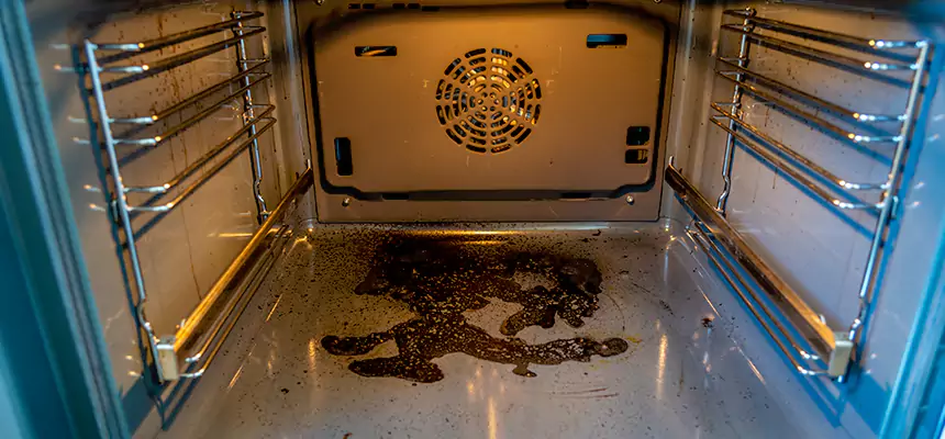 Our Dryer Vent Mold Cleaning Services in Addison, IL