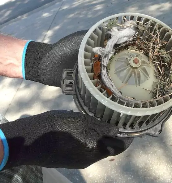 About Air Duct Rat Removal in Addison, IL