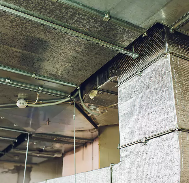 Why Homeowners & Businesses Trust Us in Addison, IL?